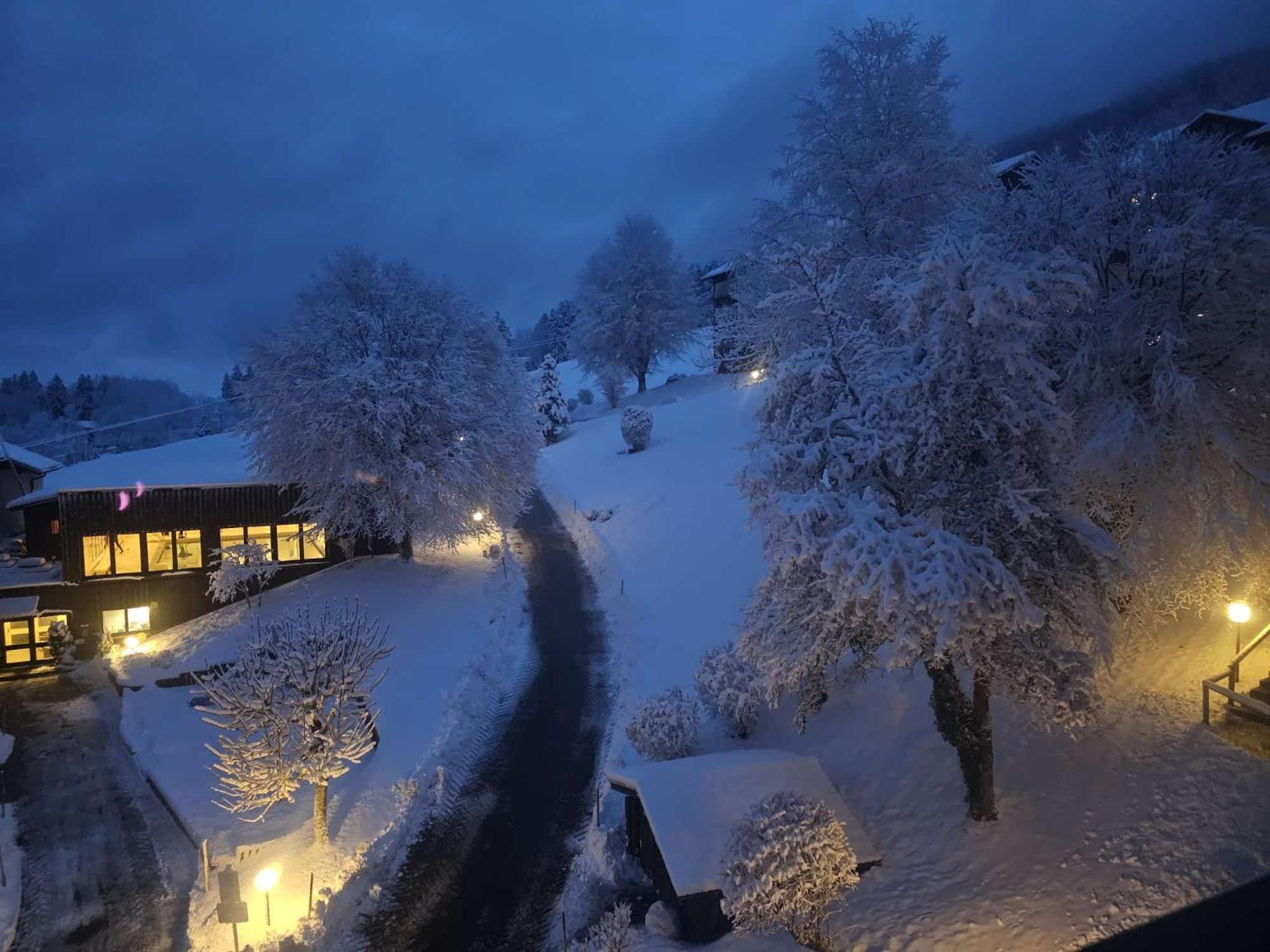 Sonnen-Juwel - Hallenbad-Sauna-2 Getrennte Schlafbereiche-Direkt An Der Skipiste Мисен-Вилхамс Екстериор снимка