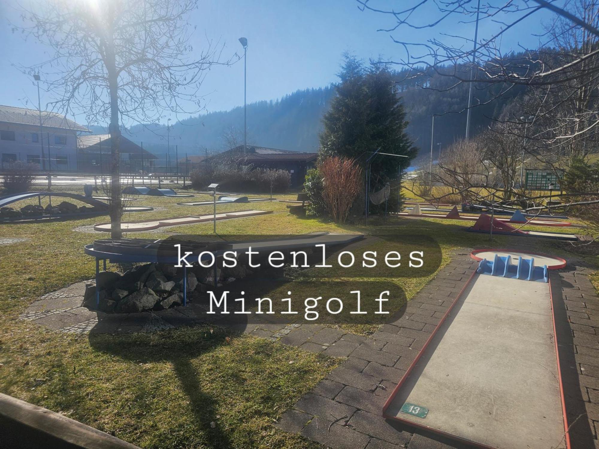 Sonnen-Juwel - Hallenbad-Sauna-2 Getrennte Schlafbereiche-Direkt An Der Skipiste Мисен-Вилхамс Екстериор снимка